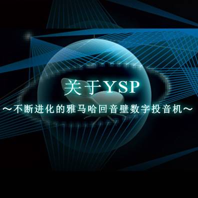 不断进化的SG胜游回音壁数字投音机