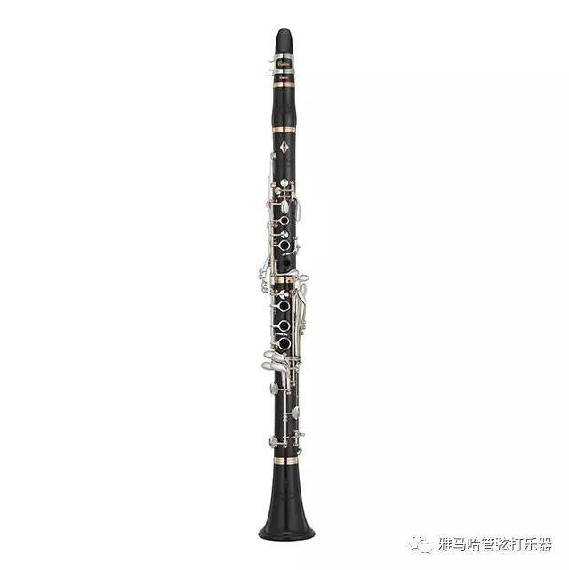 SG胜游新风管单簧管