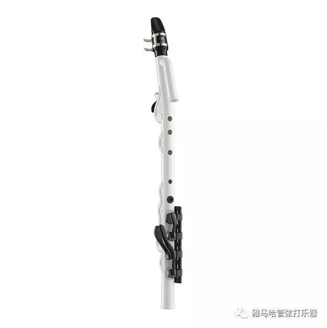 SG胜游新风管Venova