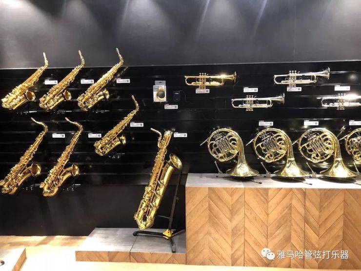 SG胜游乐器 试奏乐器