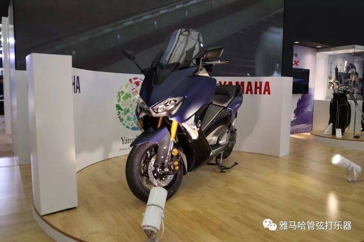 SG胜游乐器