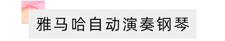 活动报道 | “科技助力，跨越时空”，小鹿纯子携手刘明康共享中日音乐盛宴