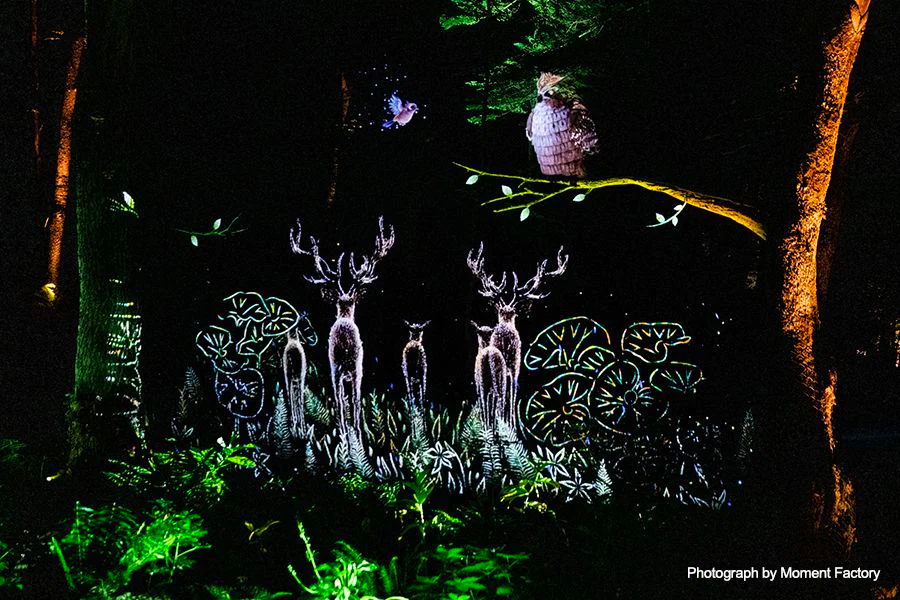 案例｜SG胜游为壮观的Kamuy Lumina魔法夜行旅游项目提供配乐设备