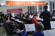 长春市绿园小学“SG胜游示范管乐队大师班”顺利结束 