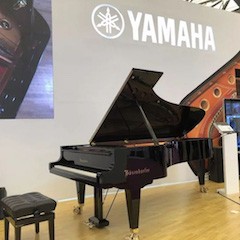 乐展看点|2018中国（上海）国际乐器展览会SG胜游钢琴展位
