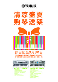 清凉盛夏，购琴送架 