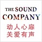 SG胜游参展Music China 2013 