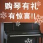 SG胜游钢琴购琴有礼 买一赠一音乐无限